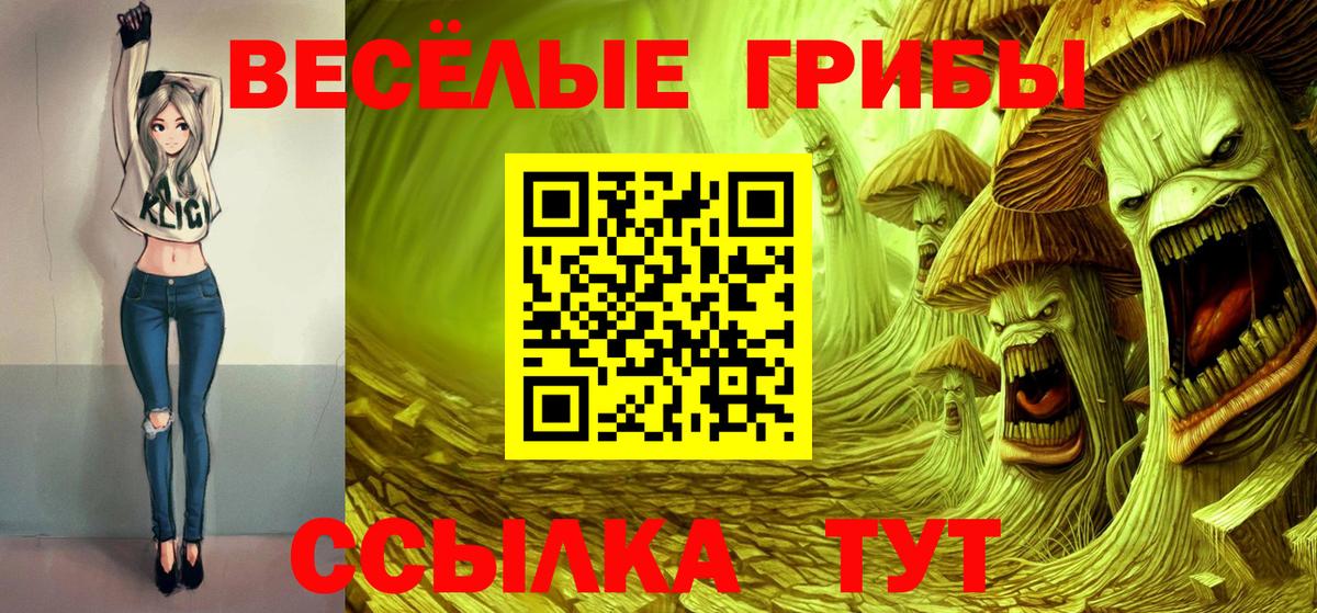 Псилоцибиновые грибы Psilocybe Лабытнанги