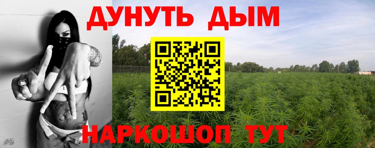 МАРИХУАНА планчик  Канабис конопля  Бошки марихуана VHQ  Каннабис сатива  Вход с VPN  Лабытнанги 